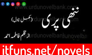 Read more about the article Nanni Pari by Fatima Ahmad Complete Novel