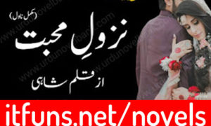 Read more about the article Nazool e Mohabbat by Shahi Complete Novel