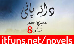 Read more about the article Dana Pani By Umera Ahmed Episode 8 Novel