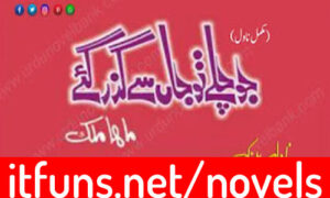 Read more about the article Jo Chale Tu Jaan Se Guzar Gaye By Maha Malik Novel