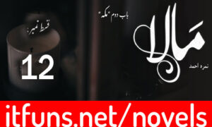Read more about the article Mala by Nimra Ahmed Novel Episode 12