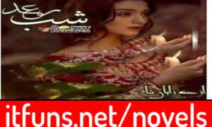 Read more about the article Shab e Raad by Hannah Zayan Shah Complete Novel