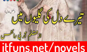 Read more about the article Tere Dil Ki Galiyon Main by RB Writes Complete Novel