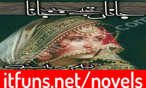 Read more about the article Jana Tujhe Jab Jana by Neelam Riasat Complete Novel