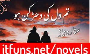 Read more about the article Tum Dil ki Dharkan Ho by Sitara Naz Complete Novel