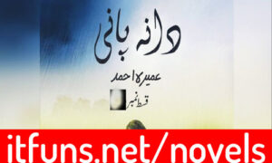 Read more about the article Dana Pani By Umera Ahmed Complete Novel