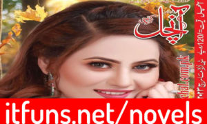Read more about the article Aanchal Digest December 2023 Read Online
