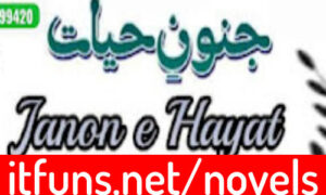 Read more about the article Junoon E Hayat By Saba Naveed Complete Novel Download