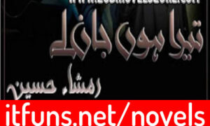 Read more about the article Tera Hoon Jaan Le (Season 2) By Rimsha Hussain Complete Novel Download