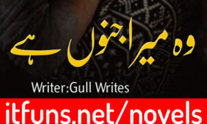 Read more about the article Woh Mera Junoon Hai By Gull Writes Season 1 Complete Novel