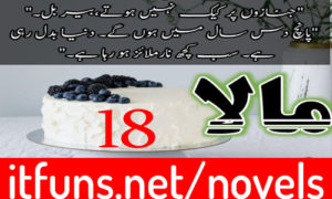 Read more about the article Mala by Nimra Ahmed Episode 18 PDF Download