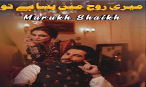 Read more about the article Meri Rooh mein Basa Hai Tu Complete Novel By Mahrukh Sheikh