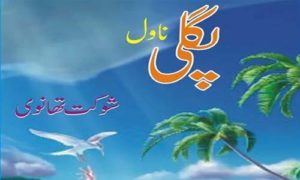 Read more about the article Pagli Novel By Shaukat Thanvi Complete Novel