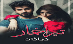 Read more about the article Tera Khumaar Complete Novel By Haya Khan In PDF