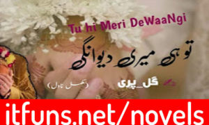 Read more about the article Tu Hi Meri Deewangi by Pari Gul Complete Novel